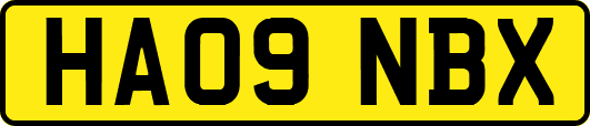 HA09NBX