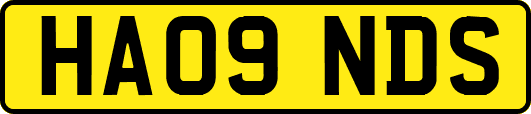 HA09NDS