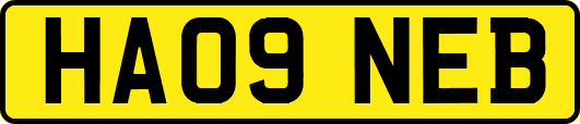 HA09NEB
