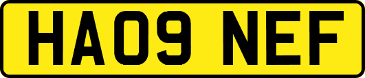 HA09NEF
