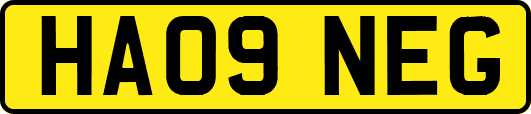 HA09NEG
