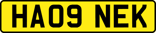 HA09NEK