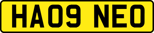 HA09NEO