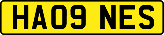 HA09NES