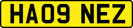 HA09NEZ
