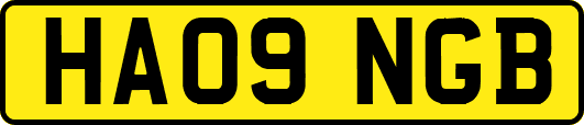 HA09NGB