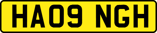 HA09NGH