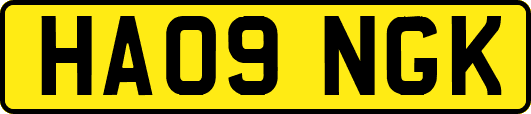 HA09NGK