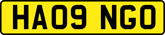 HA09NGO