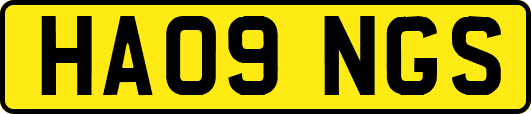 HA09NGS