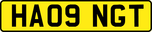 HA09NGT
