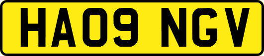 HA09NGV