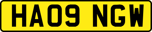 HA09NGW