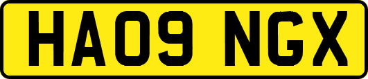 HA09NGX