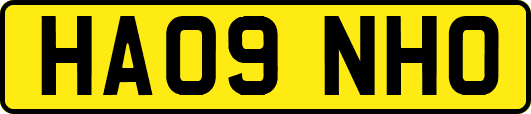 HA09NHO