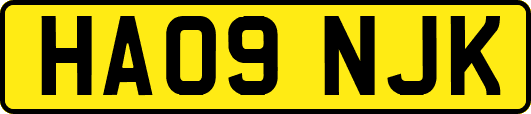 HA09NJK