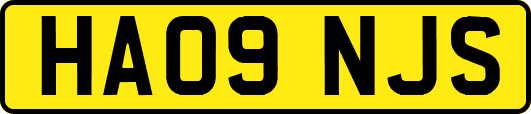 HA09NJS