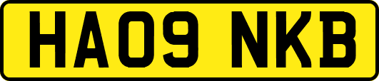 HA09NKB