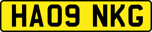 HA09NKG
