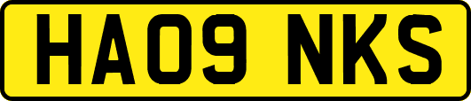 HA09NKS