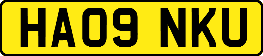 HA09NKU