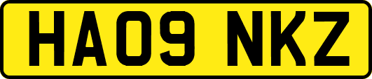 HA09NKZ