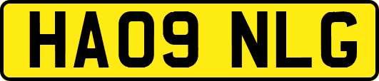 HA09NLG