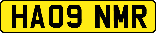 HA09NMR