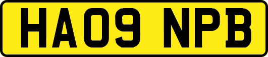 HA09NPB