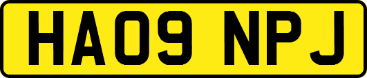HA09NPJ