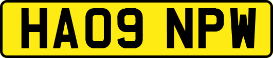 HA09NPW