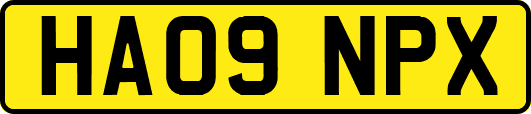 HA09NPX