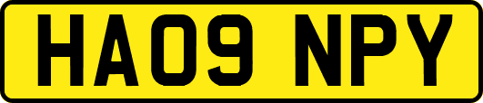 HA09NPY