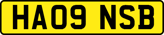 HA09NSB