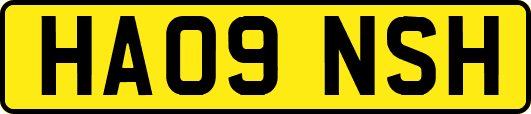 HA09NSH