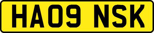 HA09NSK