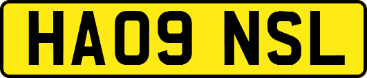 HA09NSL