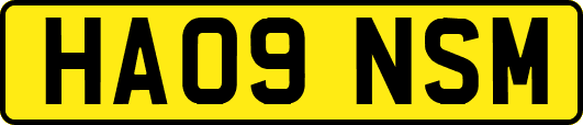 HA09NSM