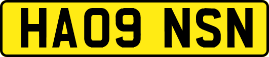HA09NSN