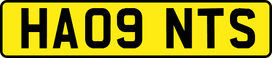 HA09NTS