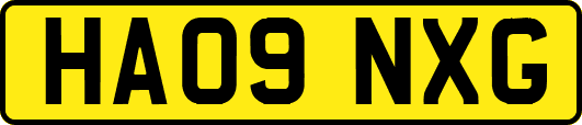 HA09NXG