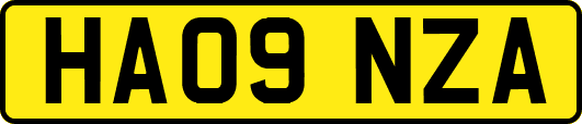 HA09NZA
