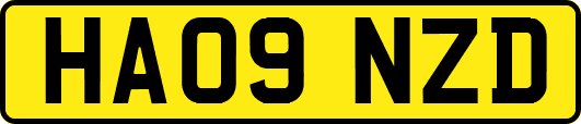 HA09NZD