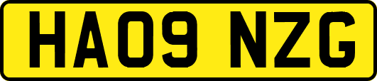 HA09NZG