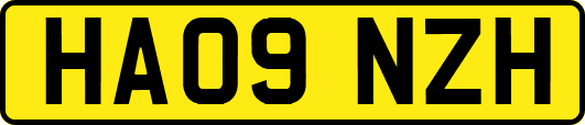 HA09NZH