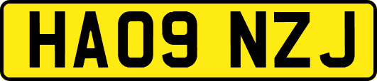 HA09NZJ