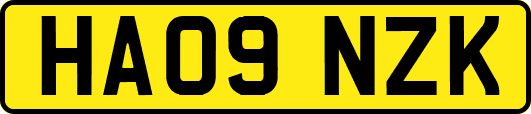 HA09NZK