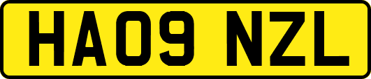 HA09NZL