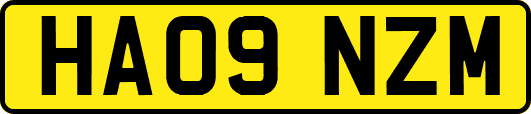 HA09NZM
