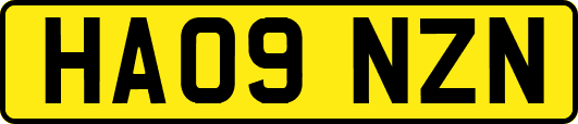 HA09NZN